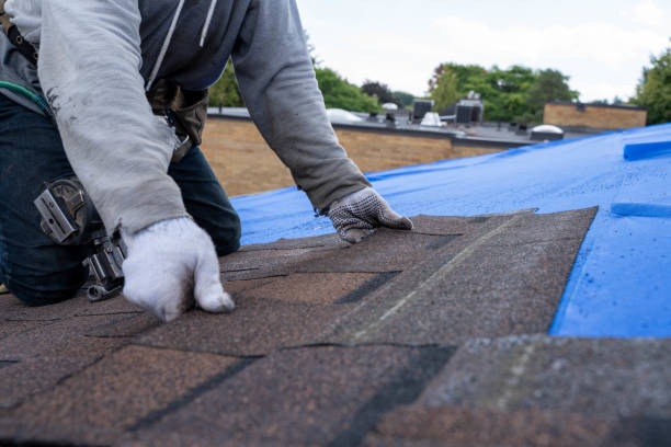 Roof Gutter Cleaning in Bay Park, NY